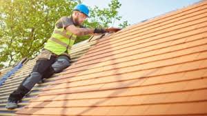 Best Roof Moss and Algae Removal  in South Valley, NM